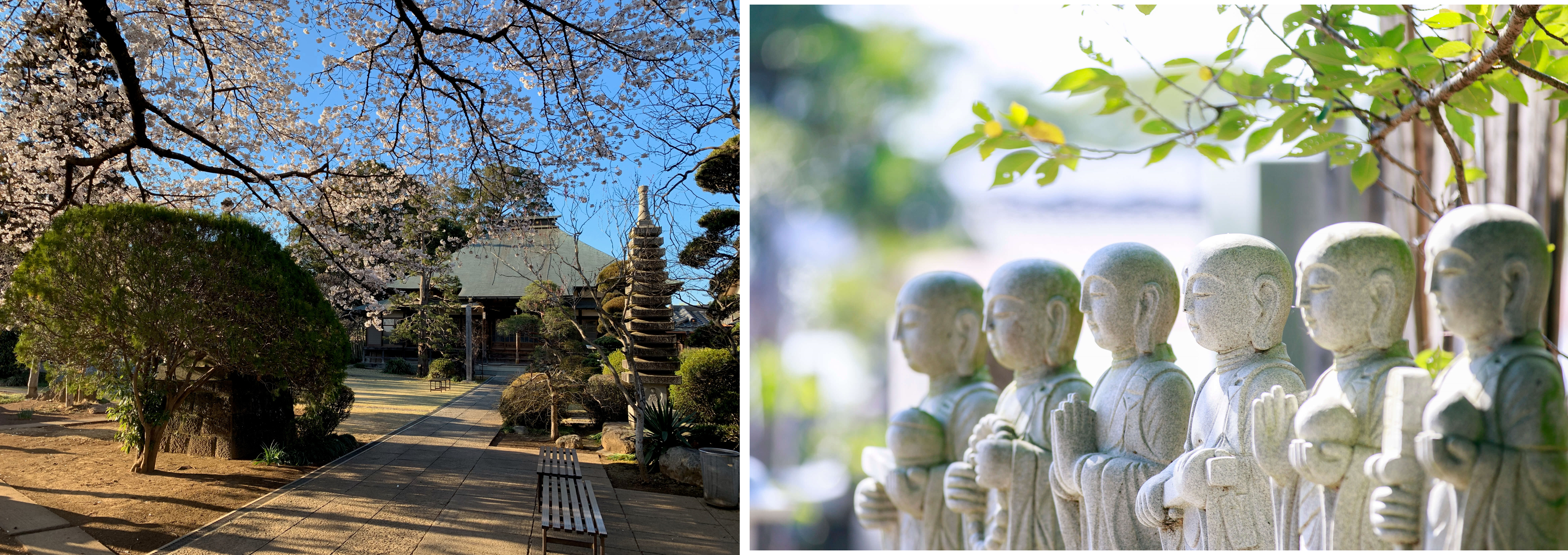 宰住山 正明寺